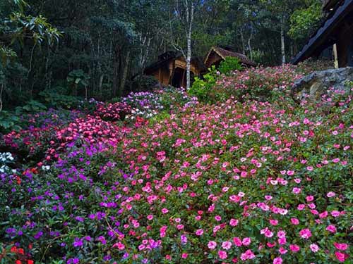 Nhà nguyện trong mây,Nhà nguyện,Du lịch Costa Rica