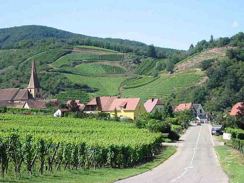 Du lịch Pháp,Rượu nho Pháp,Thung lũng Rhône,Rượu vang Bordeaux