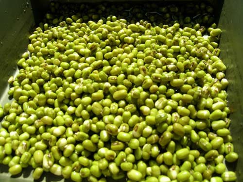 Bánh gai Ninh Giang,Cách làm Bánh gai Ninh Giang,Đặc sản Bánh gai