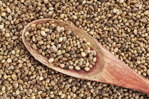 công dụng hạt gai dầu,hạt gai dầu,thực phẩm dinh dưỡng
