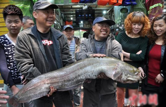 Chuyện lạ 4 phương,Chuyện lạ thế giới,Phi thường,Chuyện lạ có thật,Chuyện lạ khó tin