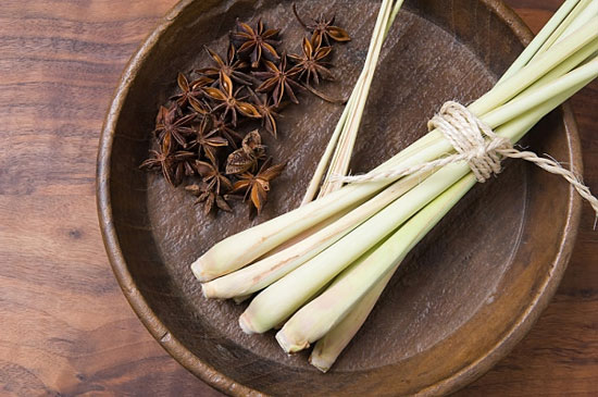 Cây xả,lợi ích từ cây xả,món ngon từ cây xả