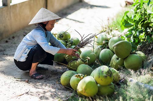 Biển Tam Hải,Du lịch Tam Hải,Du lịch Quảng Nam,Du lịch biển