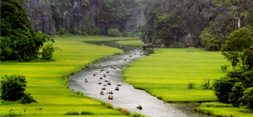 Tam Cốc,Bích Động,Du lịch Ninh Bình,vườn chim ở Ninh Bình