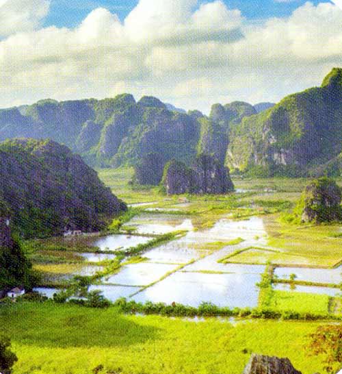 Tam Cốc,Bích Động,Du lịch Ninh Bình,vườn chim ở Ninh Bình