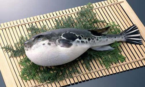 Món ăn đắt nhất Thế giới,Bò Kobe,Trứng cá muối Beluga,Gan ngỗng béo