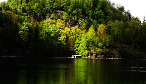 Baravia,Hồ Alpssee,Lâu đài Neuschwanstein