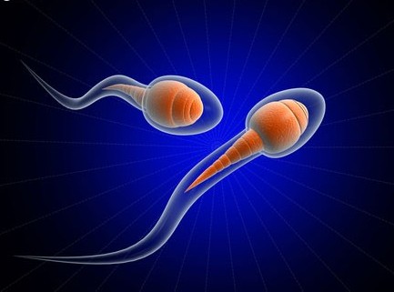 Nam giới,sức khỏe,giới tính,tinh trùng,yếu tố,giảm tinh trùng