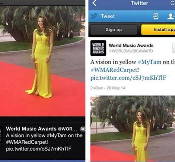 Mỹ Tâm,World Music Awards 2013,Họa mi tóc nâu,Mỹ Linh