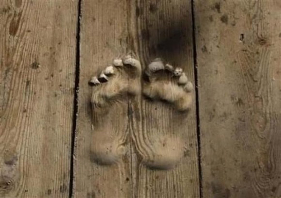 Chuyện lạ,chuyện lạ về nhà sư,dấu chân,sàn gỗ,Trung Quốc
