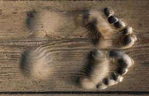 Chuyện lạ,chuyện lạ về nhà sư,dấu chân,sàn gỗ,Trung Quốc