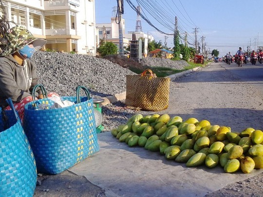 Xoài đồng nai rẻ,ĐỒng Nai,Xoài gía 500dd/1kg