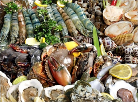 Hải sản,Ngộ độc thực phẩm,Vệ sinh an toàn thực phẩm,Sò huyết,Cá mập