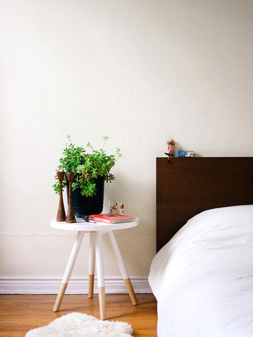 cây xanh trong phòng ngủ,phong thủy cây trong nhà