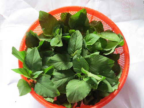 Canh rau dền,Rau dền dại,Món ăn ngon
