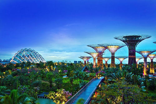 Du lịch Singapore,Du lịch châu á,Vườn cây bách thảo Botanic