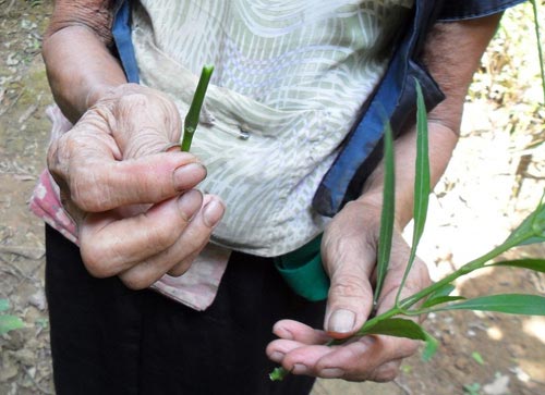 Phá thai,rùng mình,cách phá thai,thô sơ,thời hiện đại,chị em.