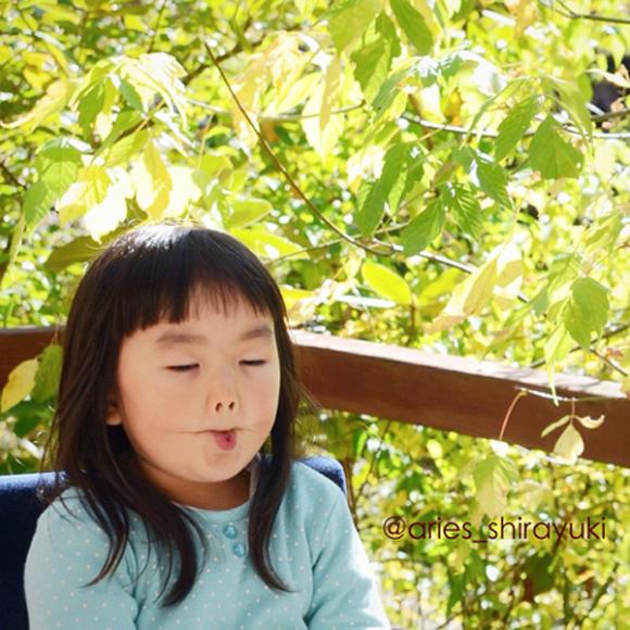 Hai anh em mái ngố,cậu bé mặt bánh bao,Hòa thượng nhí