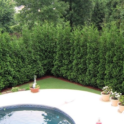 Sân vườn,Trang trí sân vườn,Ngoại thất đẹp,Ngoại thất ấn tượng