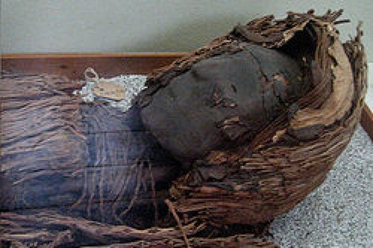 xác ướp 7000 năm,cụ bà 113 tuổi kết hôn với ông lão 70, khối u nặng 6kg dưới cằm