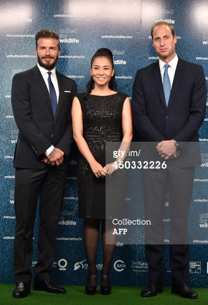 Thu Minh,David Beckham,Hoàng tử William