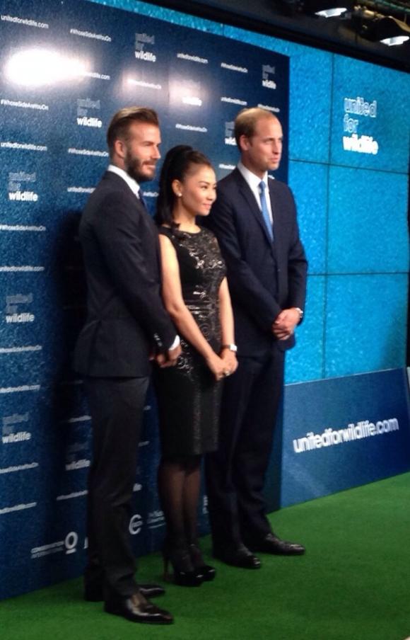 Thu Minh,David Beckham,Hoàng tử William
