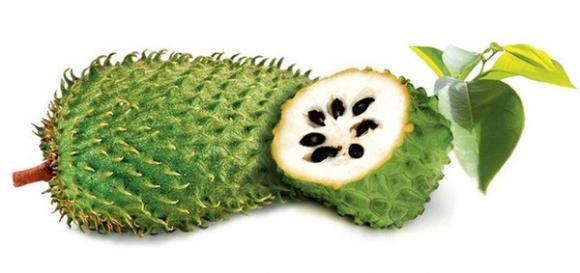 Mãng cầu xiêm,Bệnh ung thư,Chữa bệnh ung thư