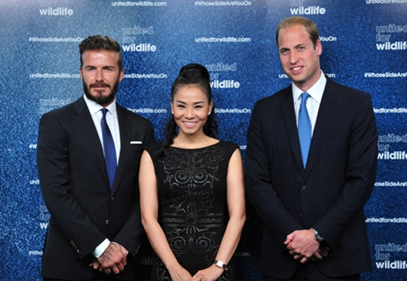 Thu Minh,David Beckham,Hoàng tử William