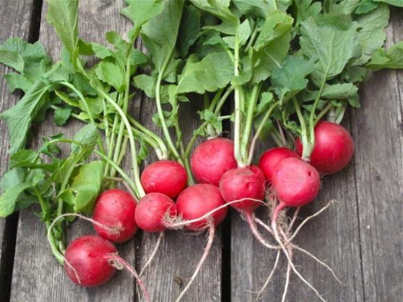 Thực phẩm,những thực phẩm ăn để ngừa táo bón,đậu,sữa chua,ngũ cốc