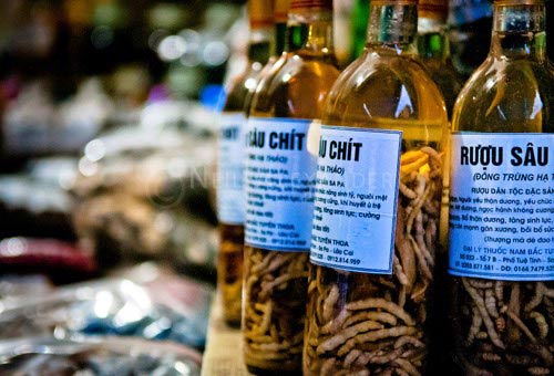 Rươi,sâu cát,sâu chít,Món ăn từ sâu