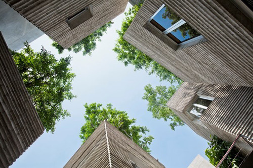 House for trees,Nhà bê tông cốp pha tre,Trang trí nhà đẹp