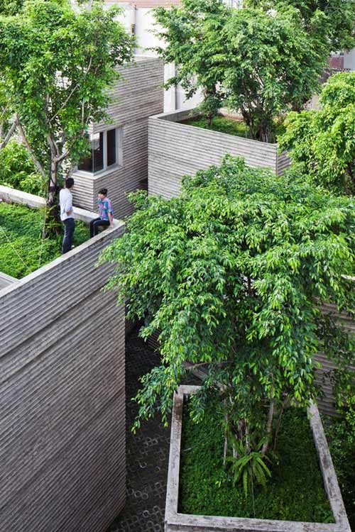 House for trees,Nhà bê tông cốp pha tre,Trang trí nhà đẹp