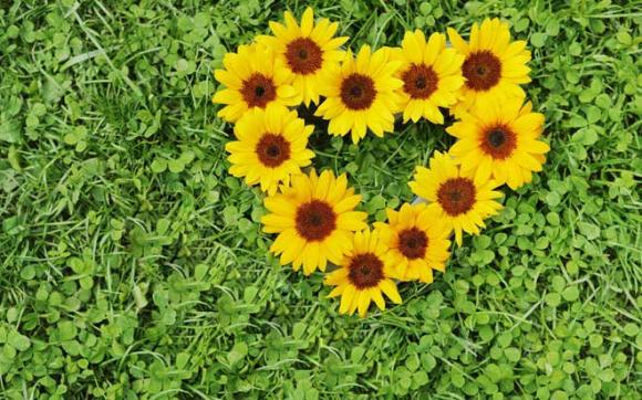 Trắc nghiệm ngày thứ sáu,cung hoàng đạo,đoán vận mệnh qua ngày