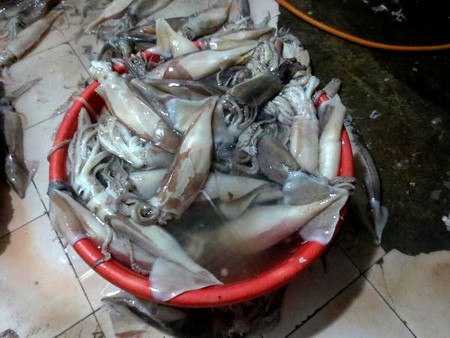 Vệ sinh an toàn thực phẩm,Thực phẩm bẩn,Mực tươi