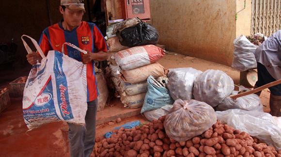 Khoai tây,khoai tây Trung Quốc,khoai tây Đà Lạt,thủ thuật mách khóe bị lật tẩy