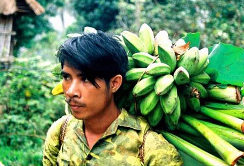Sông Côn,Bình Định,Trường Sơn