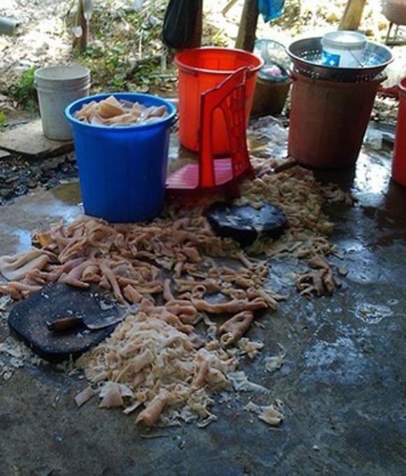Nem chua,Nem chua thanh hóa,Vệ sinh an toàn thực phẩm