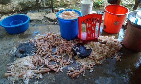 Nem chua,Nem chua thanh hóa,Vệ sinh an toàn thực phẩm