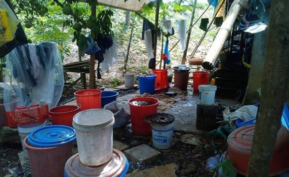 Nem chua,Nem chua thanh hóa,Vệ sinh an toàn thực phẩm