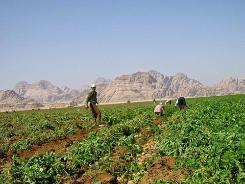 Trang trại Rum,Du lịch Jordan,Vùng đất chết