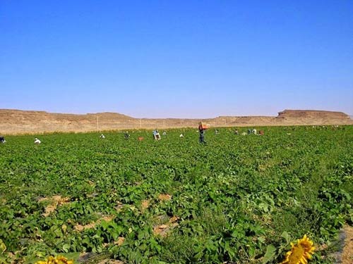 Trang trại Rum,Du lịch Jordan,Vùng đất chết