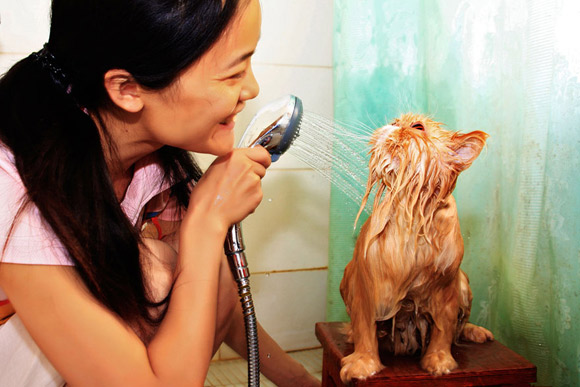 Ảnh vui,Ảnh hài hước,Ảnh động vật hài hước,Ảnh chế