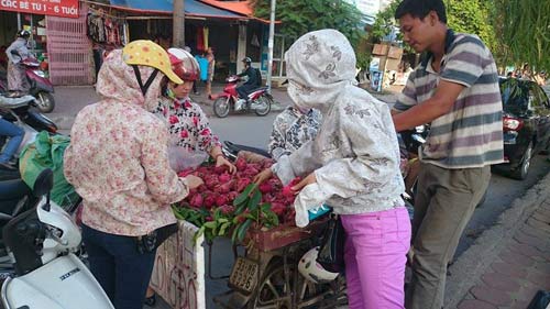 Giá hoa quả,dưa hấu,chanh leo,thanh long,cà chua