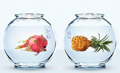 Ảnh vui,Ảnh chế,Ảnh hài hước