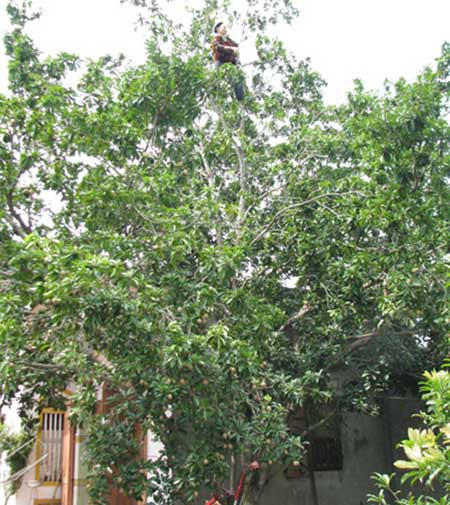 Ảnh vui,Ảnh chế,Ảnh hài hước