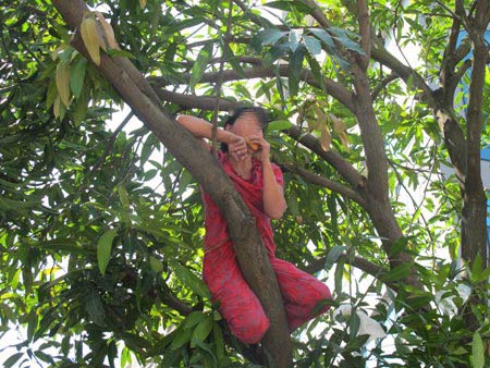 Ảnh vui,Ảnh chế,Ảnh hài hước
