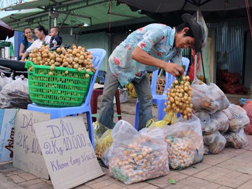 Hoa quả,trái cây,rớt giá,hàng loạt,khó tiêu thụ,xuất khẩu khó khăn