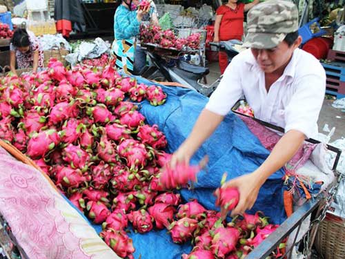 Hoa quả,trái cây,rớt giá,hàng loạt,khó tiêu thụ,xuất khẩu khó khăn
