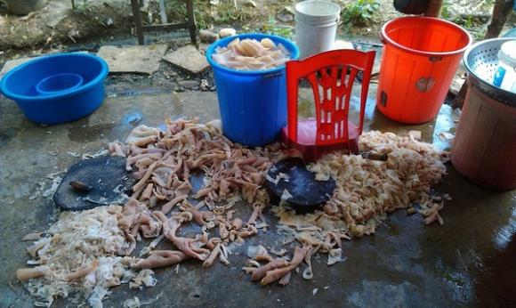 Đặc sản,món đặc sản giết người,người VIệt nên từ bỏ