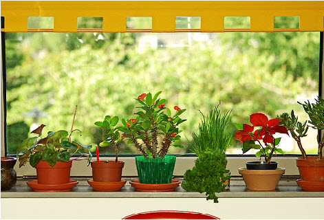 Nhà đẹp,nhà thoáng mát,phong cách hiện đại,không gian thoáng.